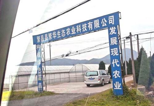 鑫达王权个人资料,揭秘商业奇才的辉煌历程与成功秘诀