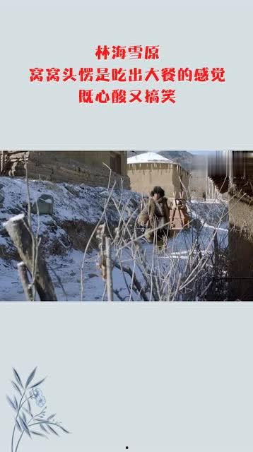 林海雪原搞笑